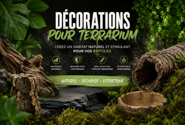 Décorations